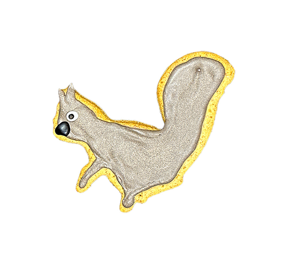 Squirrel Decorated Cookie