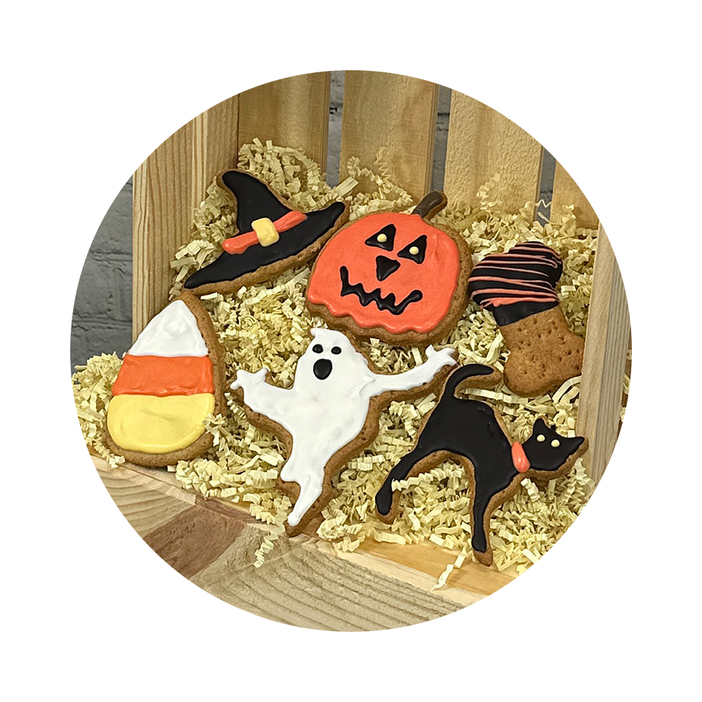 Halloween Collection