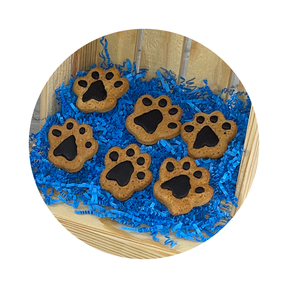 Paw Prints