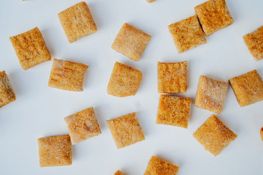 PUMPKIN All-Natural Everyday Dog Treats