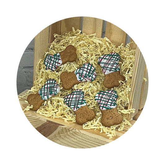 Holiday Collection Dipped Bones