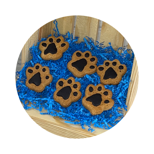 Paw Prints