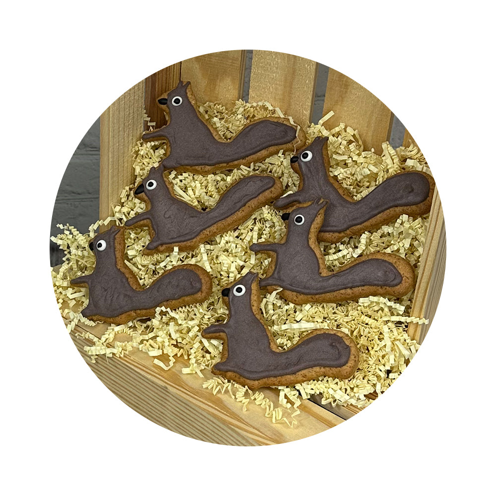 Squirrel Decorated Cookie